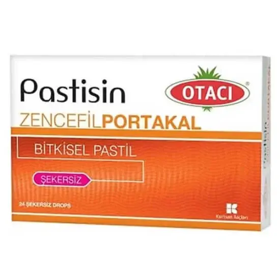 Otacı Pastisin Zencefil Portakal Bitkisel Pastil 24 Adet